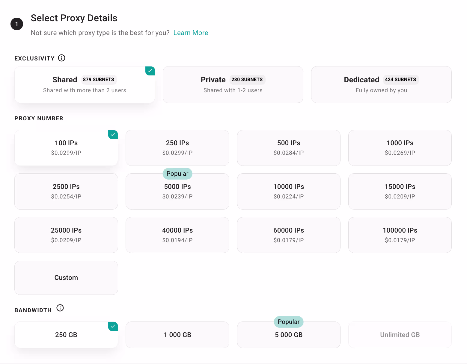 Выбор тарифа Webshare: Shared, 100 IP-адресов и 250 GB трафика. Выбор тарифа Webshare: Shared, 100 IP-адресов и 250 GB трафика.